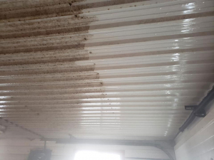Dec-12-20-last-barn-wash-of-season-2