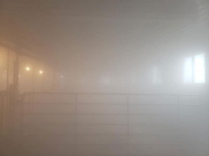 Dec-12-20-last-barn-wash-of-season-3
