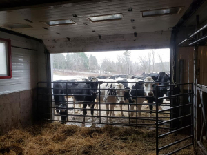 Dec-12-20-last-barn-wash-of-season-5
