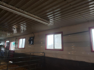 Dec-12-20-last-barn-wash-of-season-6