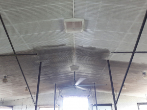 Jul-21-19-Barn-Cleaning-2