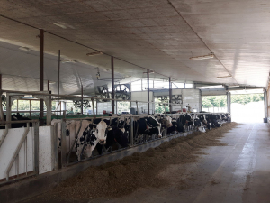 Jun-24-19-Barn-Cleaning-1