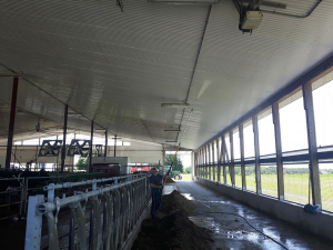 Jun-24-19-Barn-Cleaning-2