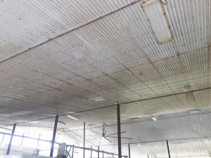 Jun-24-19-Barn-Cleaning-3