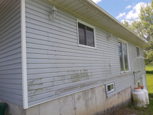 Jun-7-20-Vinyl-Siding-Cleanup