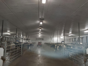 Nov-16-19-Sedgrose-Farms.-Barn-and-parlour-all-steam-washed-up-and-looking-great-2