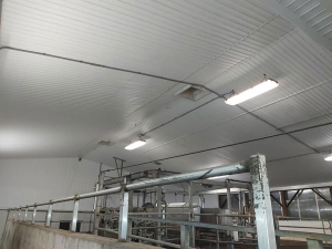 Nov-16-19-Sedgrose-Farms.-Barn-and-parlour-all-steam-washed-up-and-looking-great-3