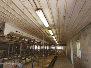 Nov-29-20-Frisklane-farms-in-Selby-Barn-Wash-5-before