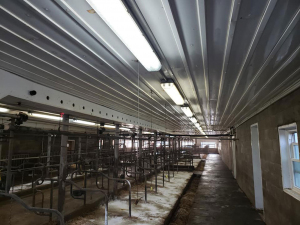 Nov-29-20-Frisklane-farms-in-Selby-Barn-Wash-6-after