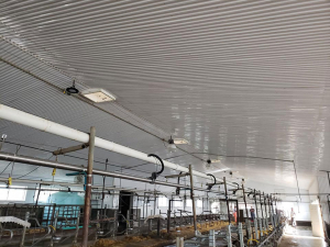 Oct-17-20-Barn-Wash-4