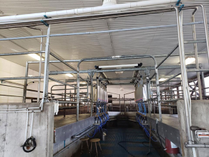 Oct-17-20-Barn-Wash-6