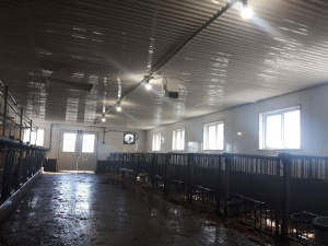 Sep-16-18-Barn-Cleanup-3
