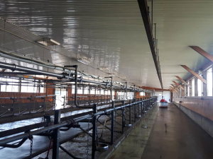 Sep-2-18-BArn-Cleanup-2