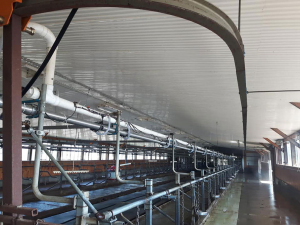 Sep-2-18-BArn-Cleanup-3