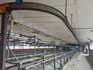 Sep-2-18-BArn-Cleanup-4